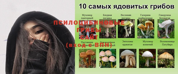 винт Новодвинск