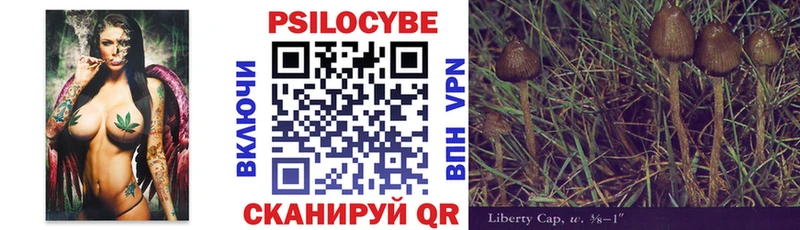 Псилоцибиновые грибы мухоморы Светлоград
