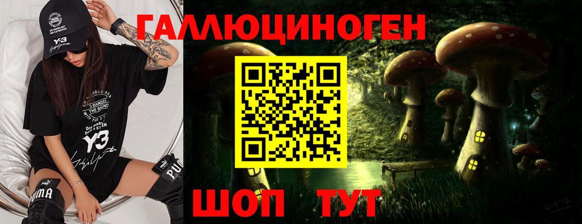 Светлоград  Галлюциногенные грибы Psilocybe  цена наркотик  Вход с VPN 
